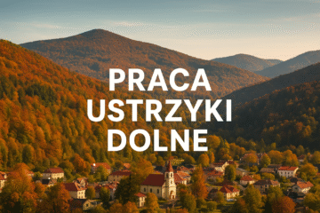 Praca Ustrzyki Dolne