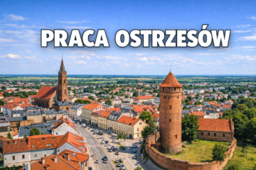 Praca Ostrzeszów
