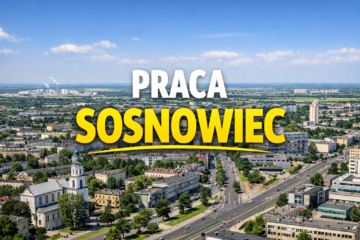 Praca Sosnowiec
